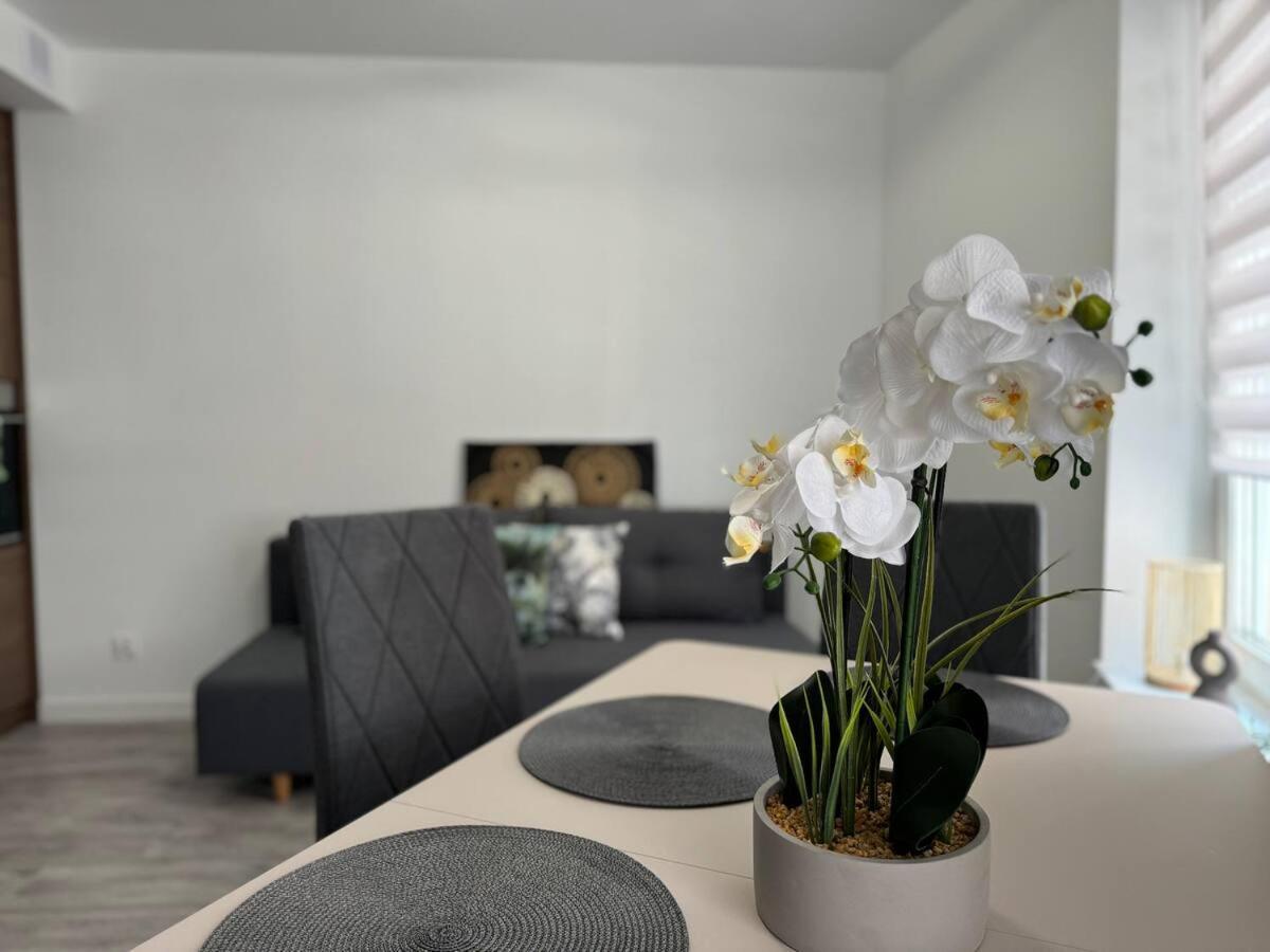 Kosciuszki P R I M E Suites كاتوفيتسه المظهر الخارجي الصورة